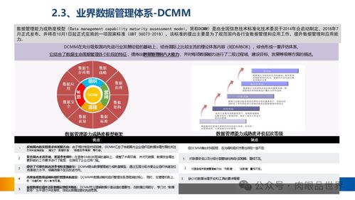 XX集团数据治理体系建设方案 网络投资管理专篇